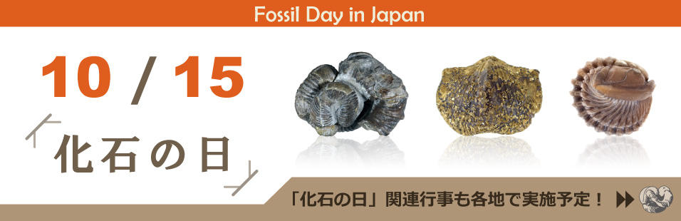 Fossil Day in Japan