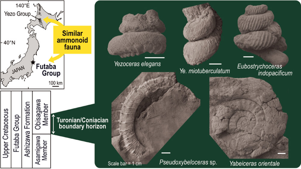 Muramiya et al.jpg