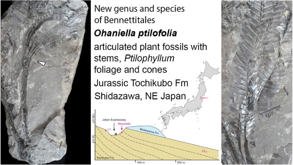 Pott and Takimoto.jpg