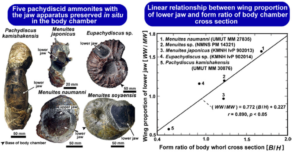 Tanabe and Misaki.jpg